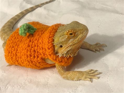 Crocheted Adult Axolotl Bearded Dragon Costume Bearded