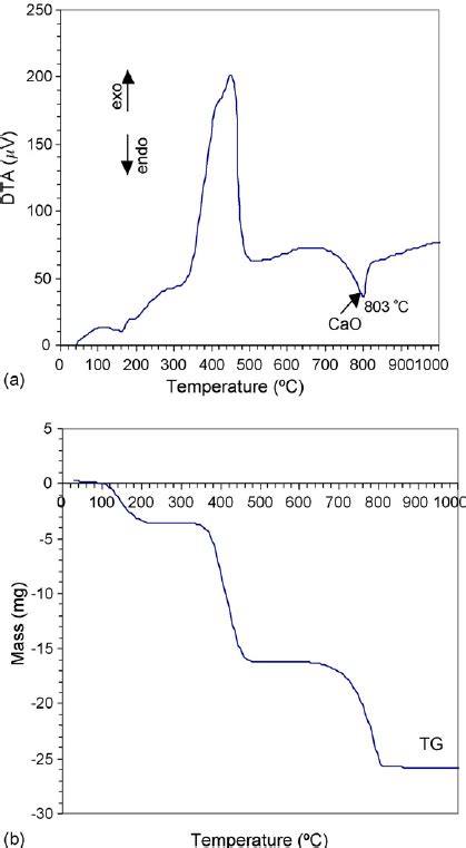 Thermal Analysis For Calcium Acetate In The Temperature Range 20 1000 Download Scientific