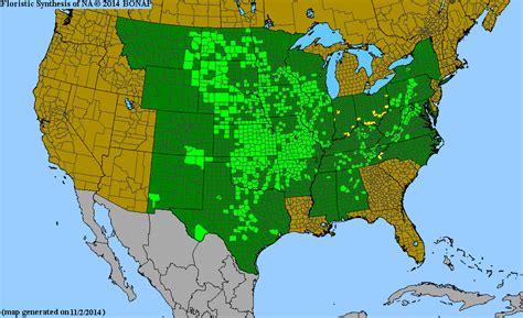 2013 Bonap North American Plant Atlas Taxonmaps
