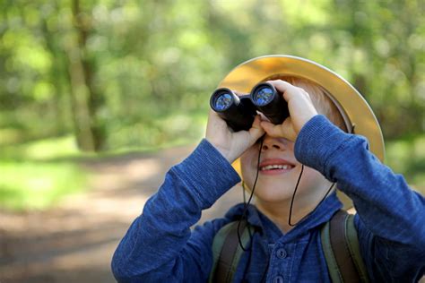 Friends Of Birmingham Botanical Gardens Summer Camps Birminghamparent