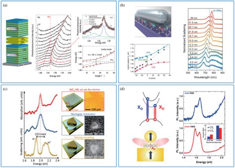 Microcavity Exciton Polaritons At Room Temperature