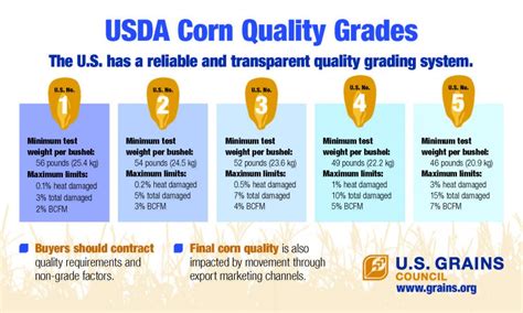 Usda Corn Quality Grades Us Grains Council