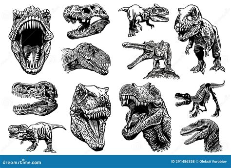 Graphical Big Set Of Dinosaurs Isolated On White Background Vector