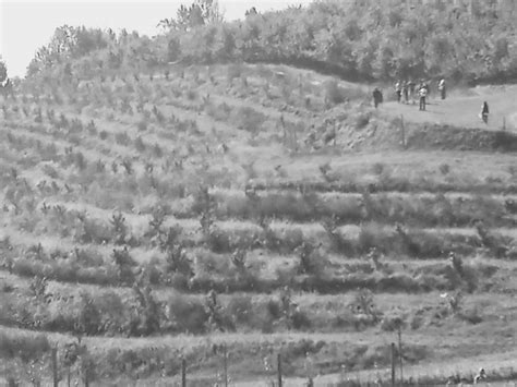 Virginia Farm 1945 By Kevinblake031805 On Deviantart