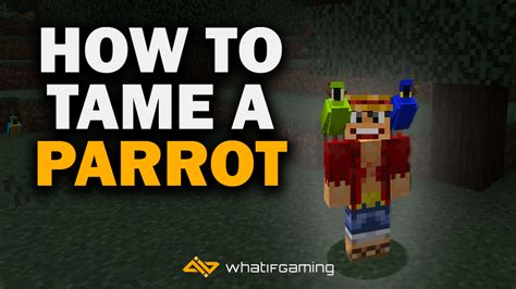 How To Tame A Parrot In Minecraft Whatifgaming