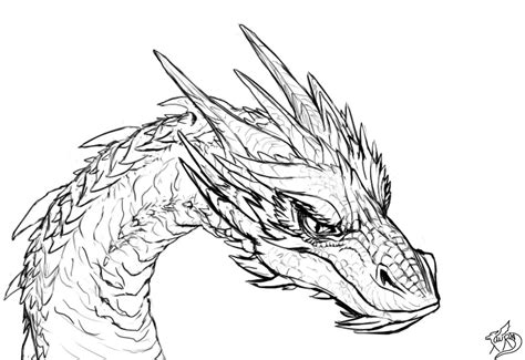 The best free Smaug drawing images. Download from 100 free drawings of ...