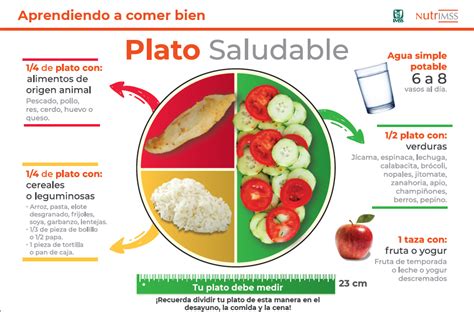 Dibujo Del Plato Del Bien Comer Imss Gob Mx Sites All The Best Porn