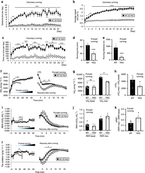 Sesn Triple Knockout Mice Display Drastic Impairment In Exercise