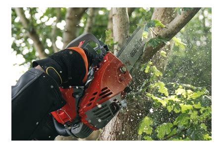 Mitox Tx Premium Top Handled Chainsaw With Guide Bar