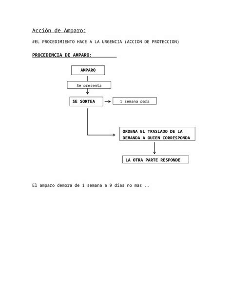 Docx Acci N De Amparo Procedimiento Para Interponer Dokumen Tips