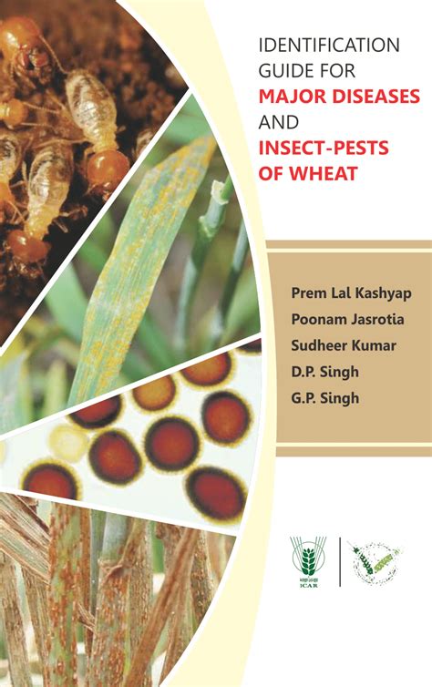 Pdf Identification Guide For Major Diseases And Insect Pests Of Wheat