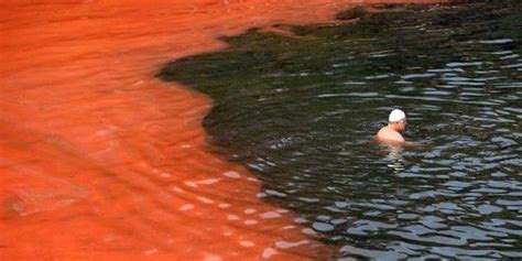 la mer rouge en australie