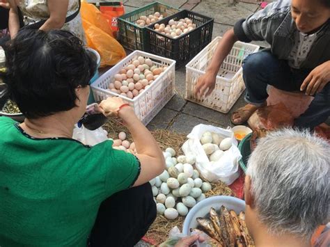 農村小伙擺攤賣稀罕物：不按斤稱論個賣，餐館老闆每天早上搶著要 每日頭條