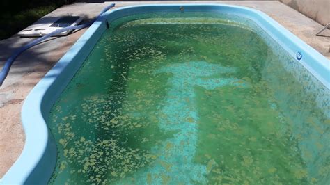 Como Decantar Limpar Piscina Suja Turva E Verde Aspirar Sujeira No