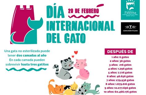 Paterna Lanza Una Campaña De Sensibilización Con Motivo Del Día Del Gato