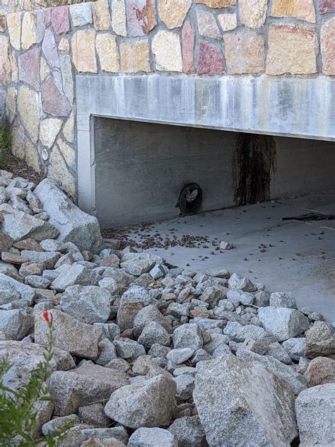 El Paso Strip Club Scene: Is It All It's Cracked Up To Be? Image 2
