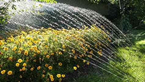 Come Irrigare Il Giardino In Mosse Con Un Impianto Di Irrigazione