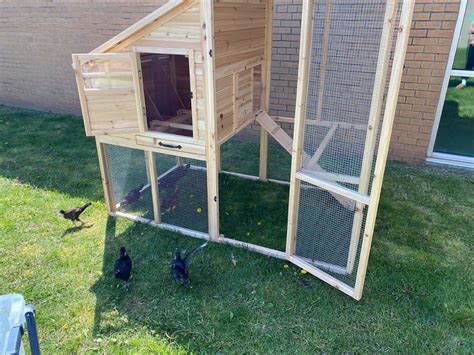 Fully Funded The Falcon Flock Program Rochester Community Schools