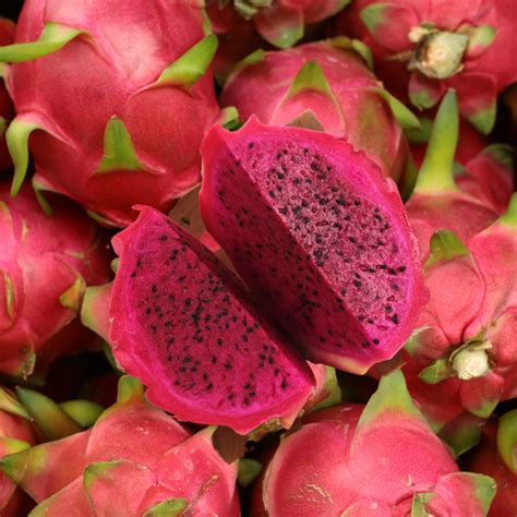 Red Dragon Fruit *** Pre Order *** – iHeartFruitBox