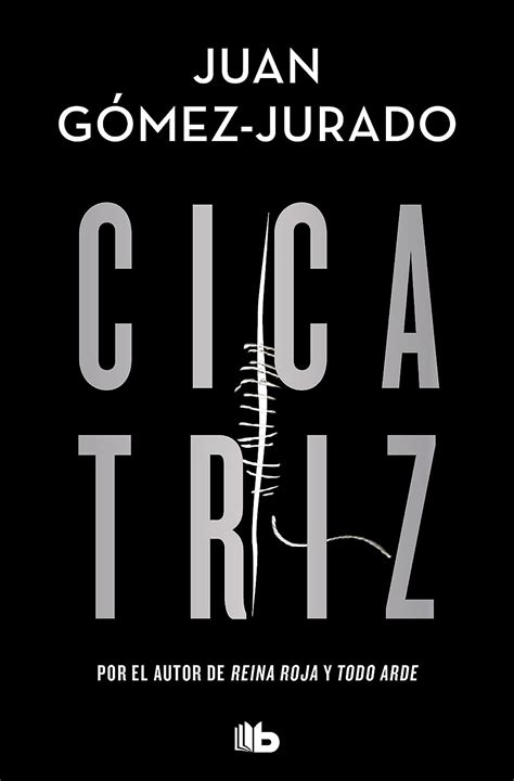 Cicatriz G Mez Jurado Juan Amazon Fr Livres