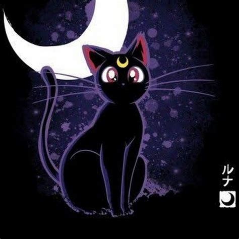 🐱luna The Cat Sailor Moon🌙 Oficial Sailor Moon Wallpaper Sailor Moon