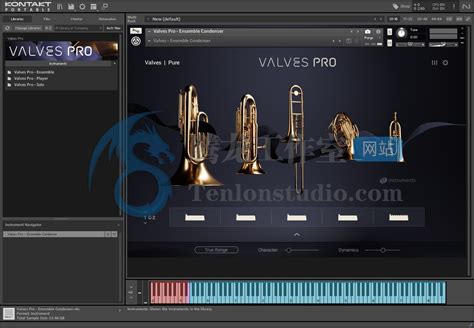 Native Instruments Valves Pro Kontakt