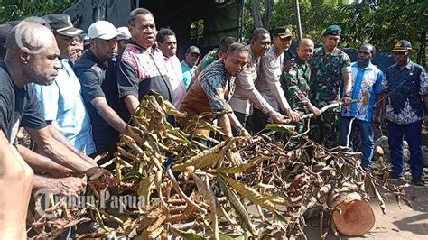 Ganti Rugi Tanah Adat Di Lokasi Transmigran Kampung Karya Bumi Pemkab