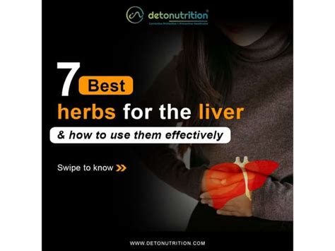 7 Top Herbs For Liver Health Unveiledpdf