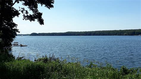 Ausflugstipp der Große Stienitzsee in Brandenburg QIEZ