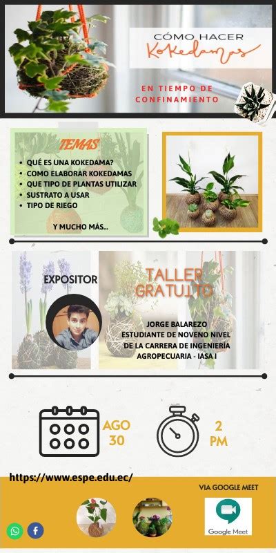 Infograma Taller De Kokedamas