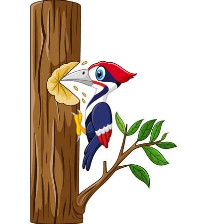 cartoon woodpecker clipart 20 free Cliparts | Download images on