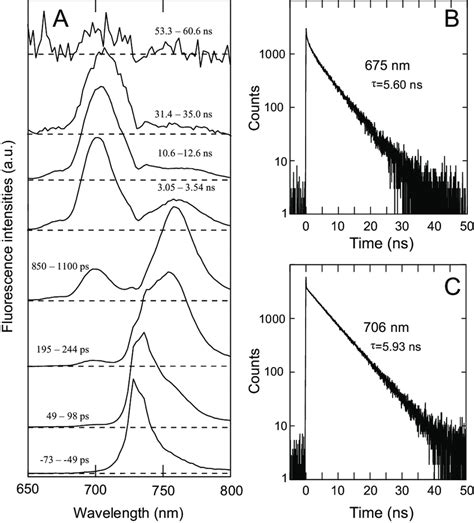 Time Resolved Fluorescence Spectra And Fluorescence Decay Curves At 77 Download Scientific