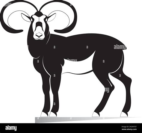 Ram Original Black On White Illustration Decor Ram Silhouette Isolated