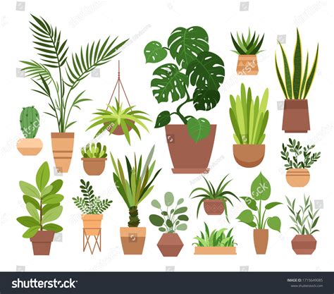 Plant Pot Vector Illustration Set Cartoon Stock Vector Royalty Free