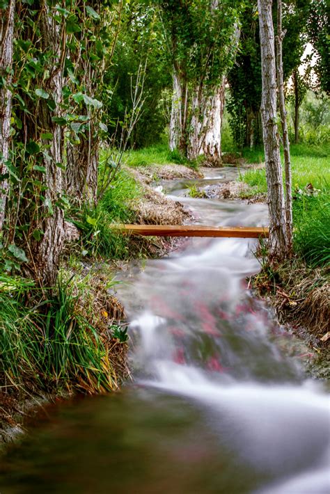 Local families react to washington family ranch new price structures 9