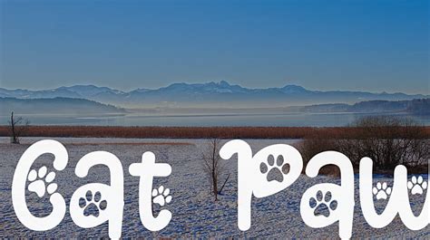 Cat Paw Font Download Free For Desktop And Webfont