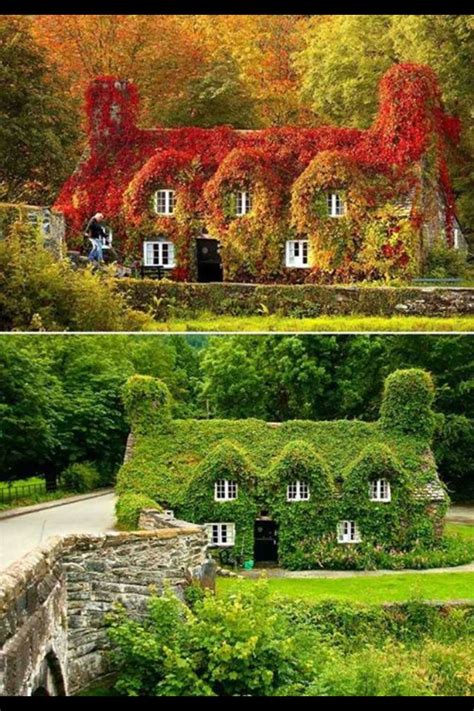 English Cottage Garden With Ivy Covered Houses