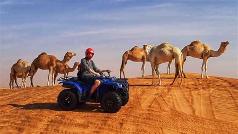 Dubai: Quad & ATV Bike, Red Dune Desert and Safari Adventure | GetYourGuide