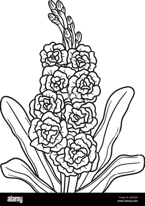 Page De Coloriage Des Fleurs Pour Adultes Image Vectorielle Stock Alamy