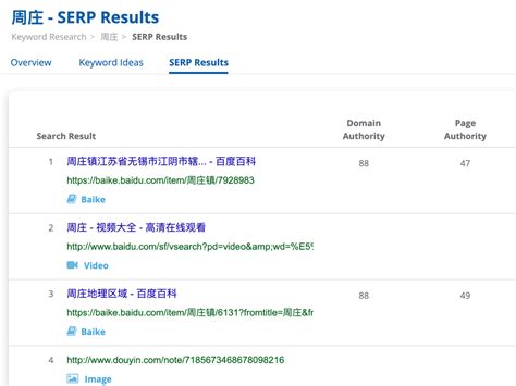 Baidu SEO Tool Dragon Metrics