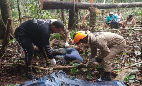 Homem morre ao ser atingido por galho de árvore durante derrubada