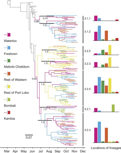 Phylogeographic Reconstruction Of The 2014 EBOV Using BEAST In The