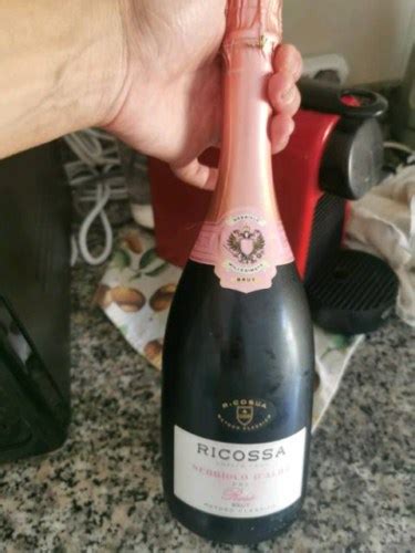 Ricossa Nebbiolo dAlba Rosé Brut Metodo Classico Vivino US