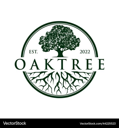 Oaktree Logo Design Template Royalty Free Vector Image