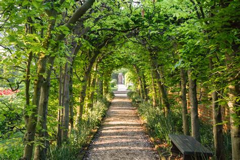 Arboretum & Gardens | Colonial Williamsburg Foundation