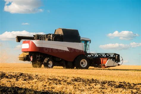 Blue Combine Harvester Working On The Harvest In A Field Stock Image