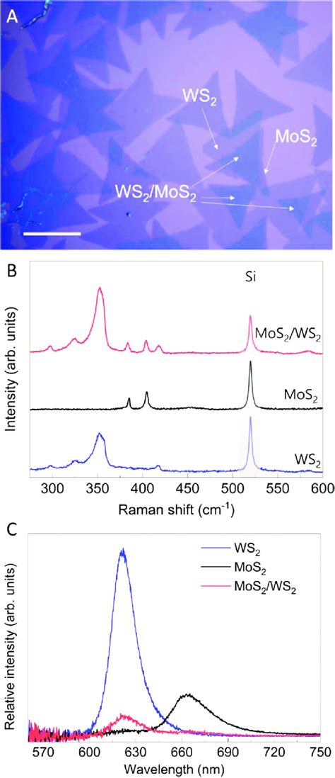 Characterization Of Mos Ws Heterobilayers A Optical Microscope