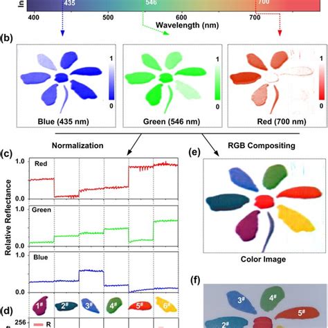 Mapbi Pd Based Imaging Results A Spectral Response Of The Mapbi