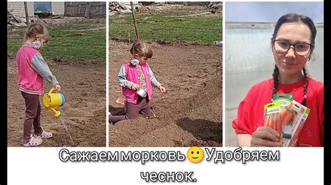 Сажаем морковь. Удобряем чеснок. - YouTube