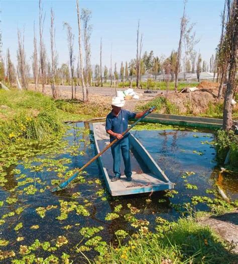 Chinampa Farming Method Of The Pics